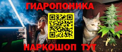 мескалин Кингисепп