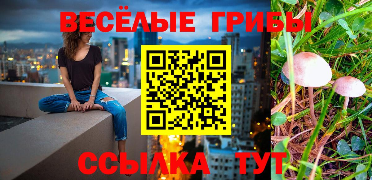 Псилоцибиновые грибы Psilocybine cubensis Донецк